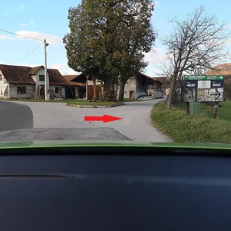 - Celje Daire