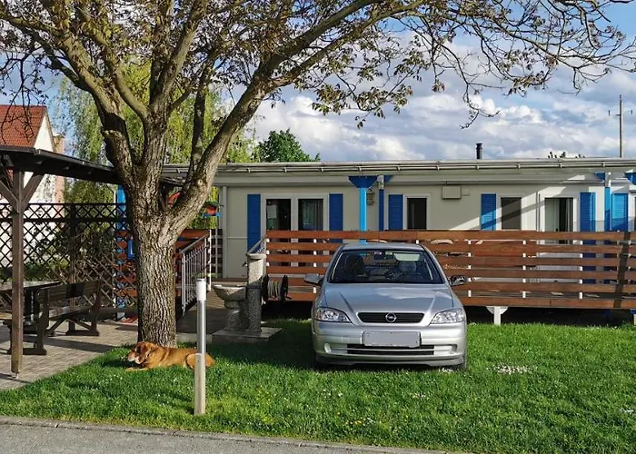 - Celje شقة Braslovce