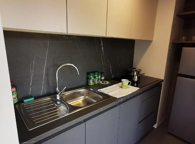 شقة - Celje Braslovce